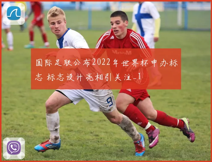 国际足联公布2022年世界杯申办标志 标志设计亮相引关注_1